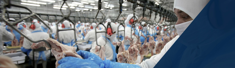 Industria Alimenticia