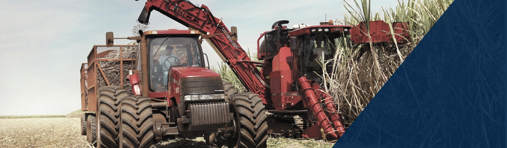 Setor Agrícola